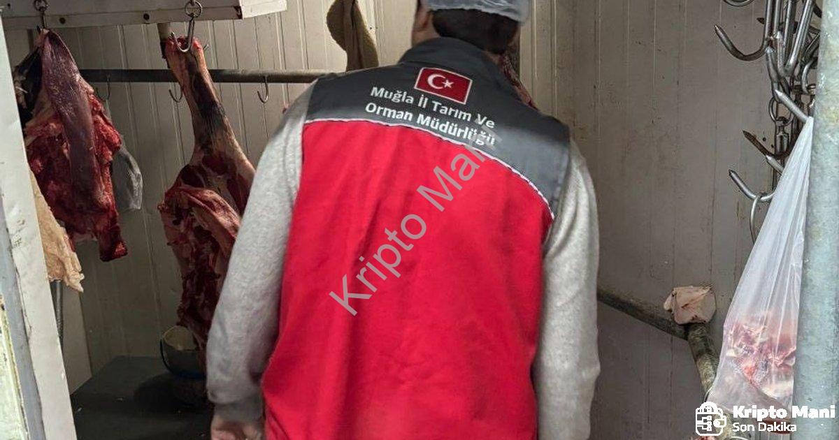 "Menteşe'de Gıda Güvenliği İçin Dev İşbirliği: Kasaplar Yakın Takipte" başlıklı haber için fotoreali