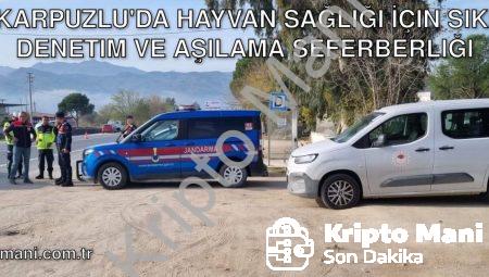 Karpuzlu’da Hayvan Sağlığı İçin Sıkı Denetim ve Aşılama Seferberliği