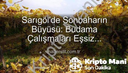 Sarıgöl’de Sonbaharın Büyüsü: Üzüm Bağlarında Budama ve Kartpostallık Manzaralar