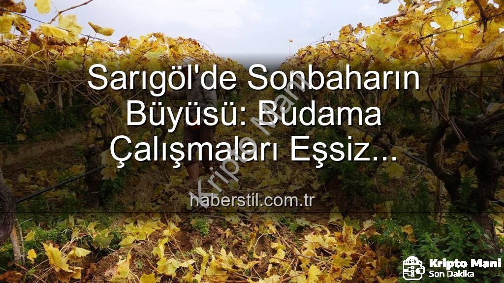 Sarıgöl üzüm bağları - Sarıgöl'de Sonbaharın Büyüsü: Üzüm Bağlarında Budama ve Kartpostallık Manzaralar