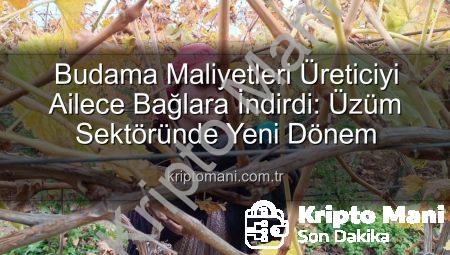 Budama Maliyetleri Üreticiyi Ailece Bağlara İndirdi: Üzüm Sektöründe Yeni Dönem