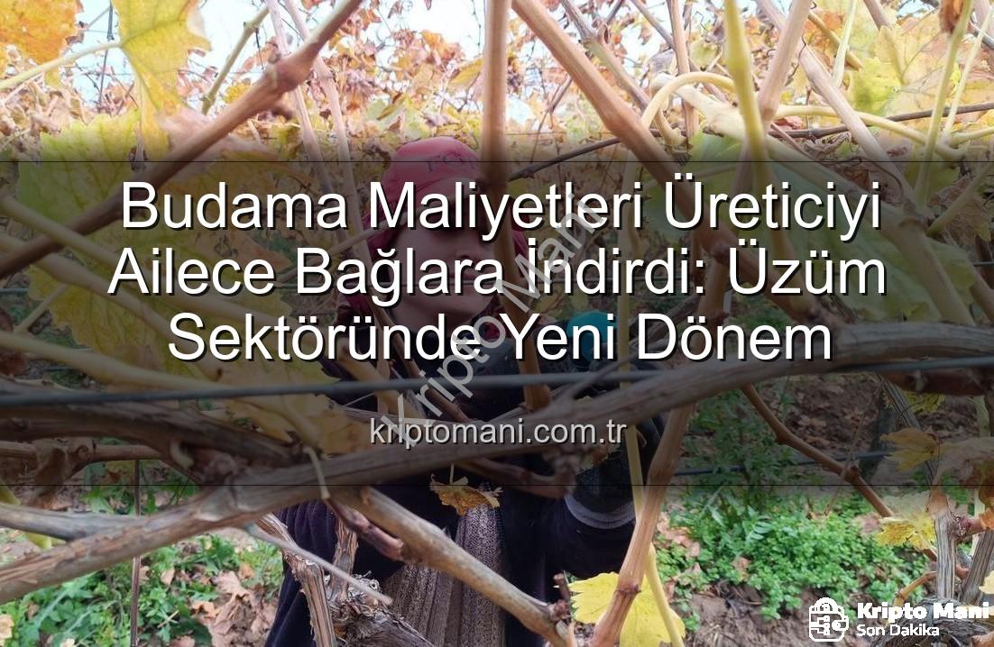 budama maliyeti - Budama Maliyetleri Üreticiyi Ailece Bağlara İndirdi: Üzüm Sektöründe Yeni Dönem