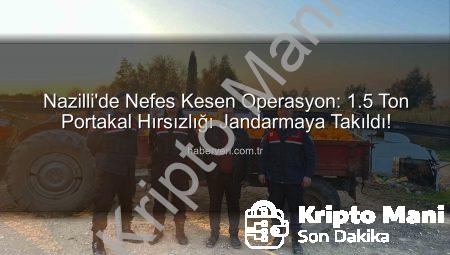 Nazilli’de Nefes Kesen Operasyon: 1.5 Ton Portakal Hırsızlığı Jandarmaya Takıldı!