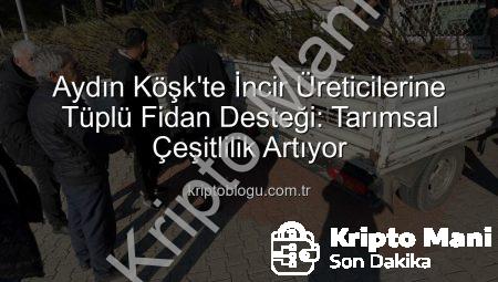 Köşk’te İncir Üreticisine Tüplü Fidan Desteği: Tarımsal Çeşitlilik Artıyor
