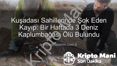 Kuşadası Kıyıları Endişe Verici Manzara: Bir Haftada 3 Deniz Kaplumbağası Ölü Bulundu