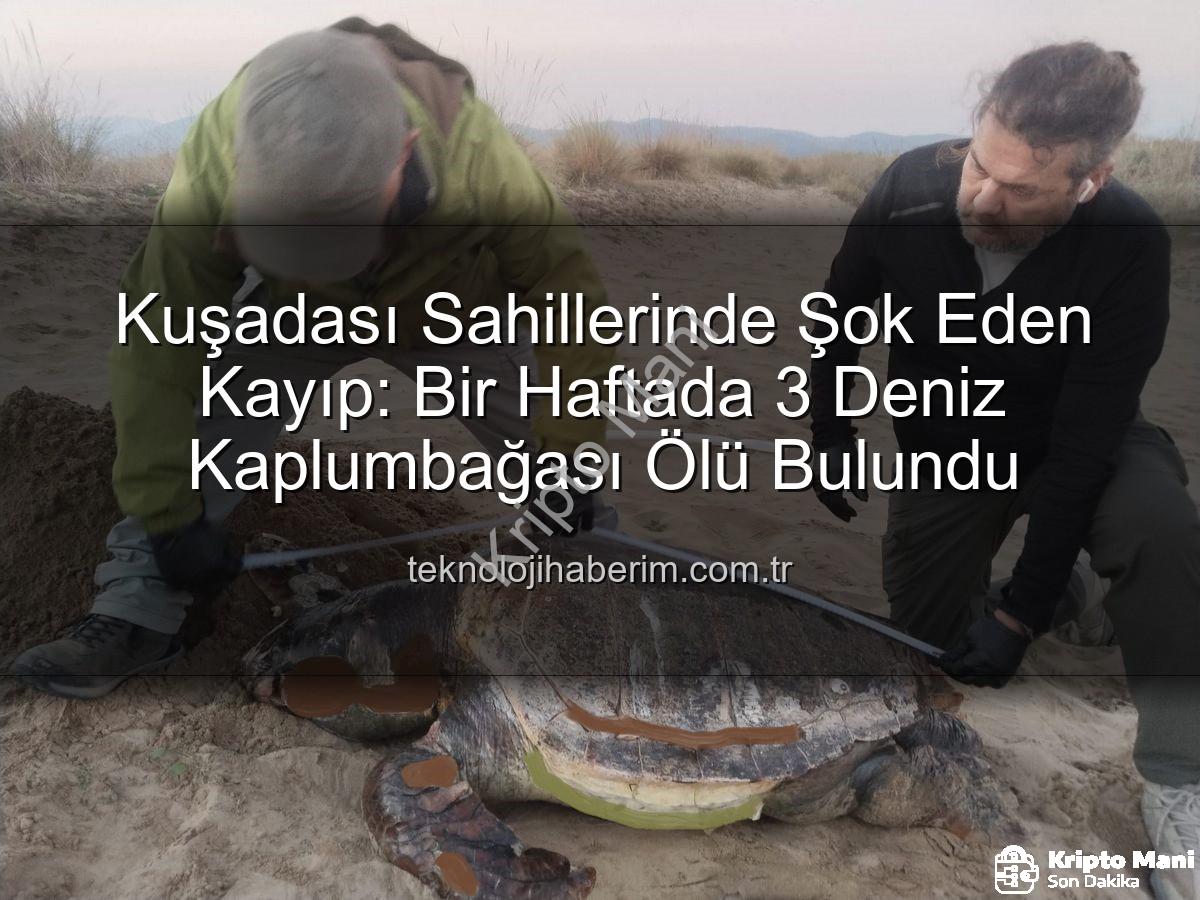 deniz kaplumbağası ölümleri - Kuşadası Kıyıları Endişe Verici Manzara: Bir Haftada 3 Deniz Kaplumbağası Ölü Bulundu