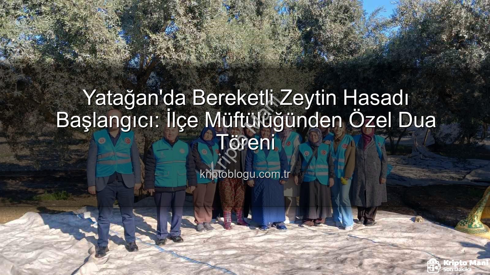 zeytin hasadı - Yatağan'da Zeytin Hasadı Bereket Duasıyla Başladı: Bereketli Bir Sezon Temennisi
