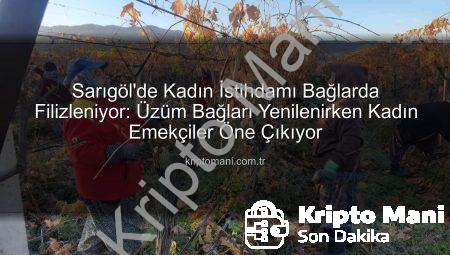 Sarıgöl’de Kadın İstihdamı Bağlarda Filizleniyor: Üzüm Bağları Yenilenirken Kadın Emekçiler Öne Çıkıyor