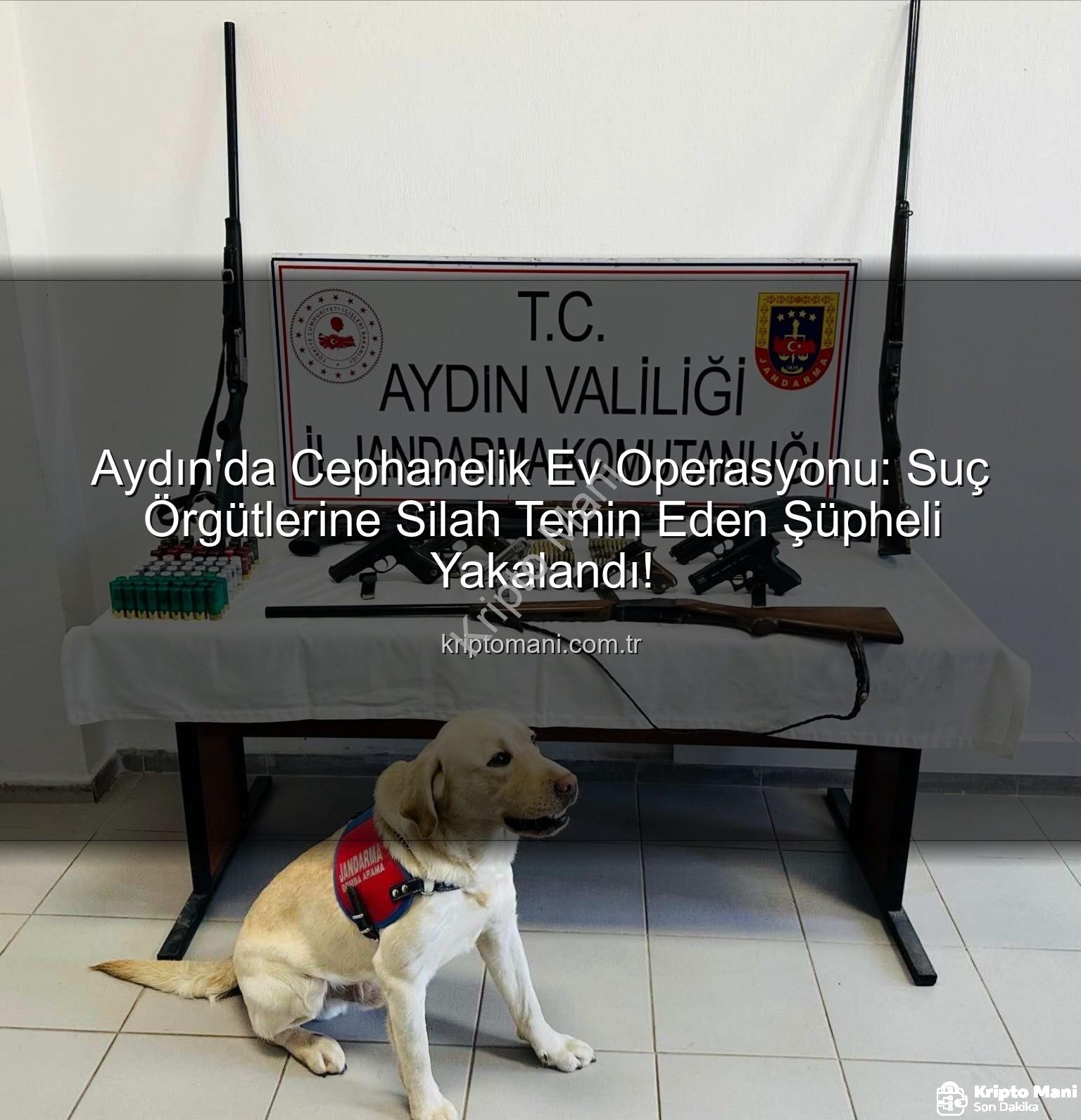 Aydın silah operasyonu - Aydın'da Cephanelik Ev Operasyonu: Suç Örgütlerine Silah Temin Eden Şüpheli Yakalandı!