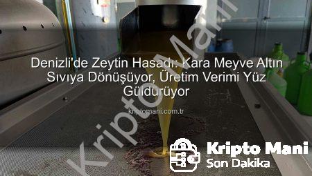 Denizli’de Zeytin Hasadı: Kara Meyve Altın Sıvıya Dönüşüyor, Üretim Verimi Yüz Güldürüyor