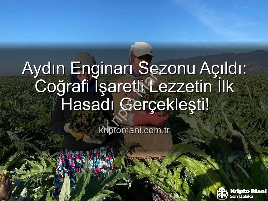 Aydın Enginarı - Aydın Enginarı Sezonu Açıldı: Coğrafi İşaretli Lezzetin İlk Hasadı Gerçekleşti!