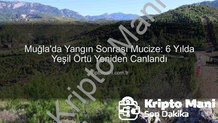 Muğla’da Yangın Sonrası Mucize: 6 Yılda Yeşil Örtü Yeniden Canlandı