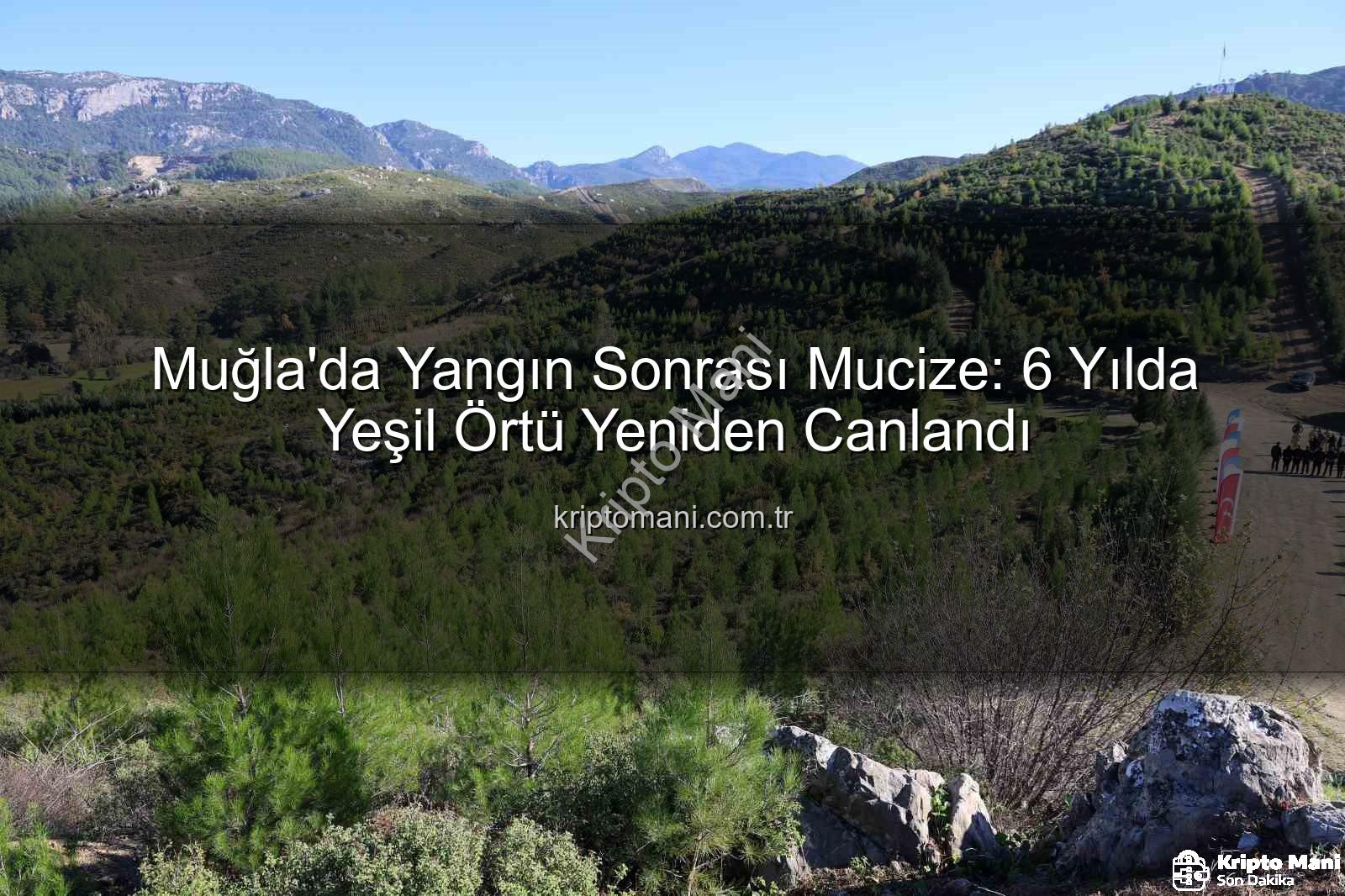 orman yeniden ağaçlandırma - Muğla'da Yangın Sonrası Mucize: 6 Yılda Yeşil Örtü Yeniden Canlandı